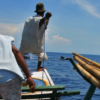 indonesia2010366