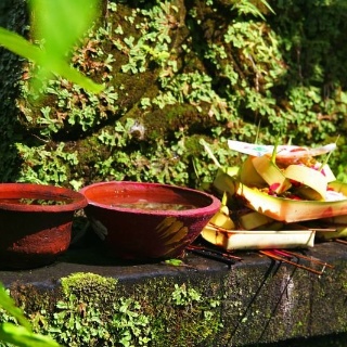 indonesia2010401