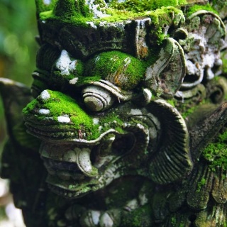 indonesia2010408