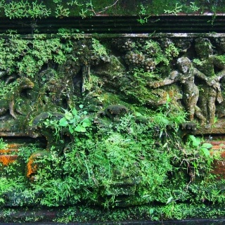 indonesia2010411