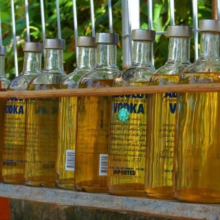 indonesia2010501