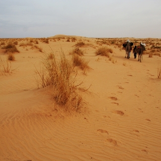 mauritania2009086
