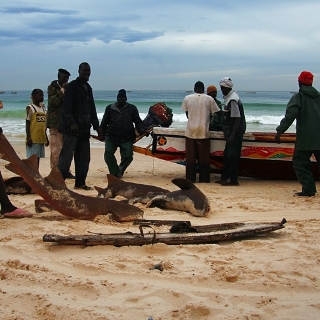 mauritania2009156