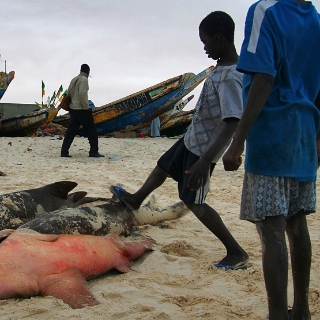 mauritania2009161