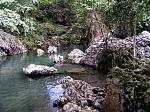 Pict0248.jpg