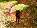 Pict0298.jpg