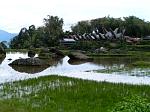 Pict0331.jpg