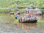 Pict0333.jpg