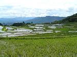 Pict0359.jpg